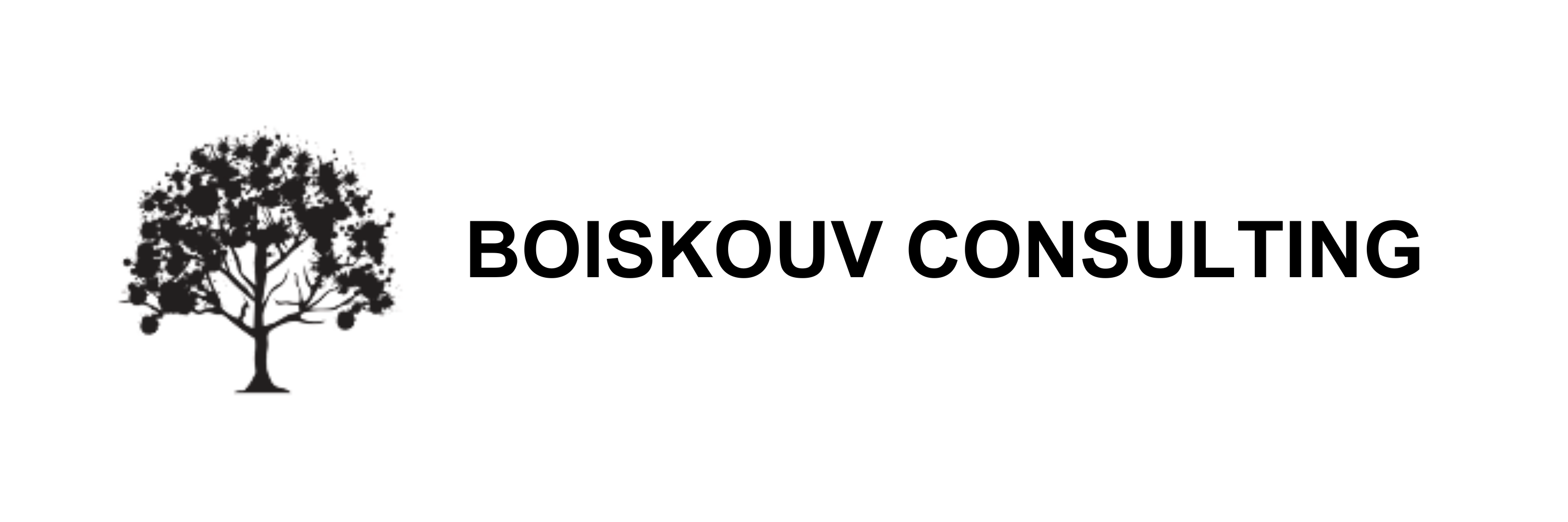 Boiskouv Consulting logo