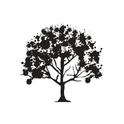 Boiskouv Consulting ApS logo